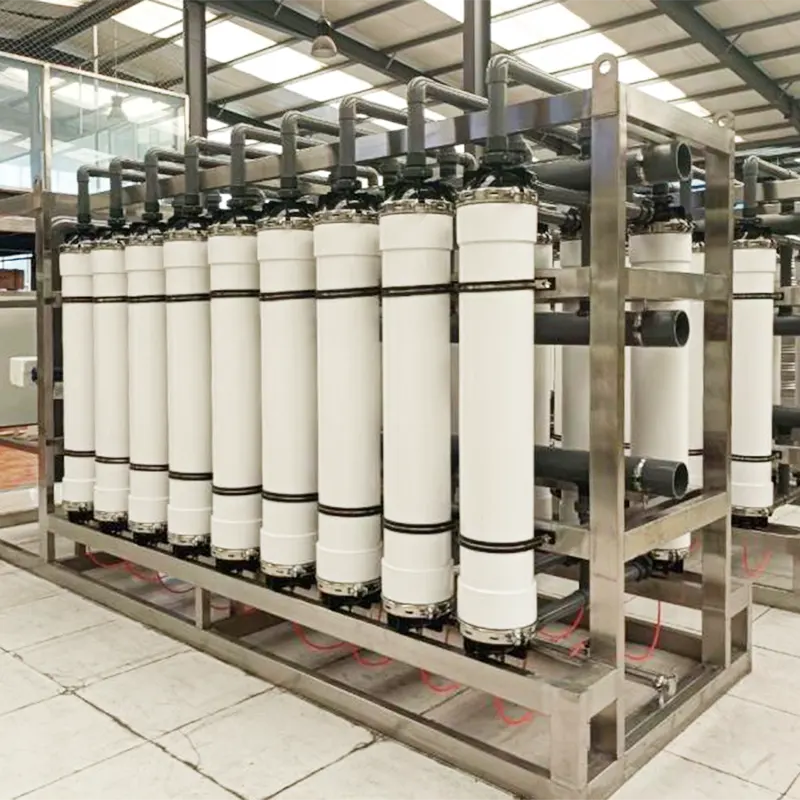 Quomodo Transformare aquam Equipment Ultrafiltration Quality pro Flos Cultus